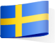 Svensk Starköl 5,1% 24 x 330ml